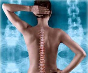 selja selgroo illustratsioon